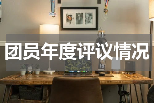 团员年度评议情况