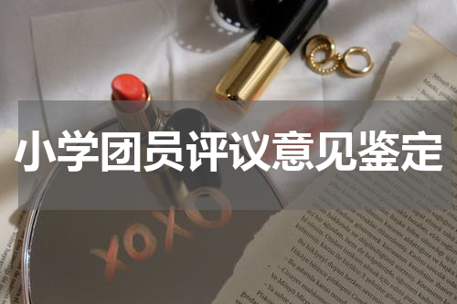 小学团员评议意见鉴定