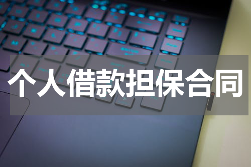 个人借款担保合同