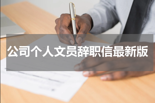 公司个人文员辞职信最新版