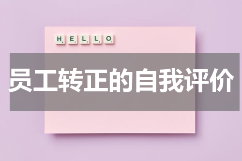 员工转正的自我评价