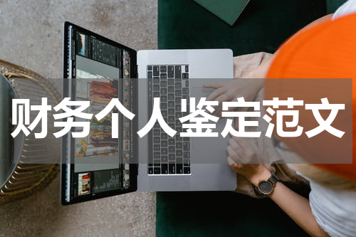 财务个人鉴定范文