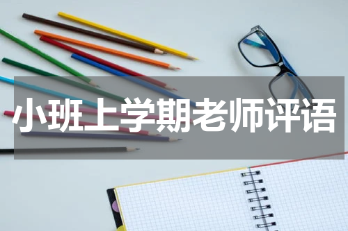 小班上学期老师评语