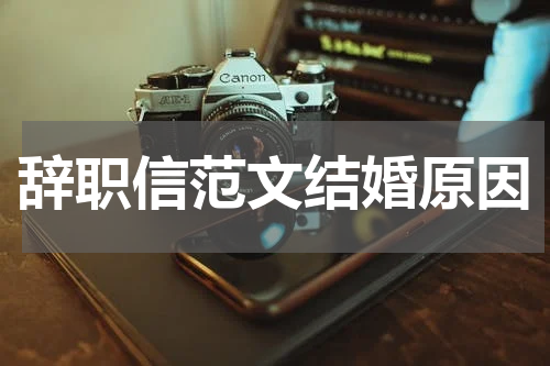 辞职信范文结婚原因