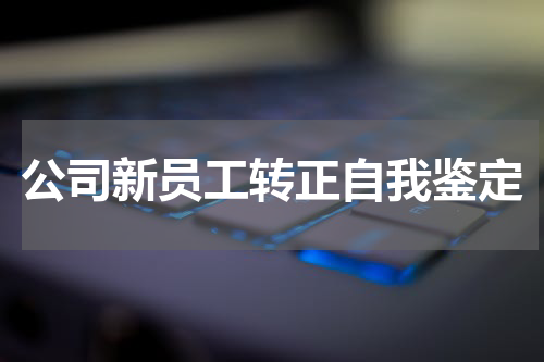 公司新员工转正自我鉴定