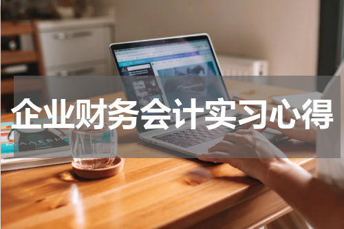 企业财务会计实习心得