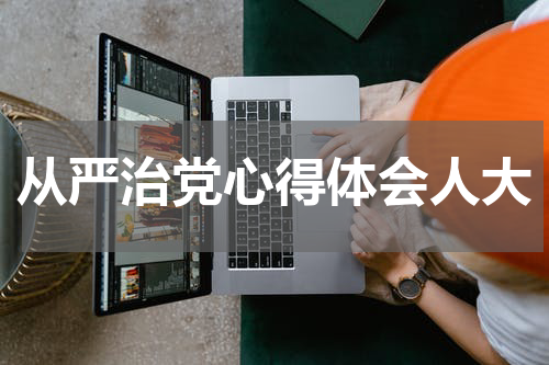 从严治党心得体会人大