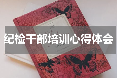 纪检干部培训心得体会