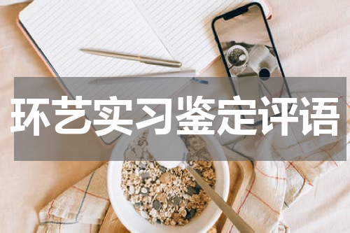 环艺实习鉴定评语