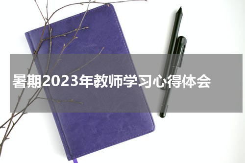 暑期2023年教师学习心得体会