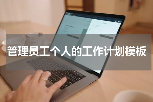 管理员工个人的工作计划模板