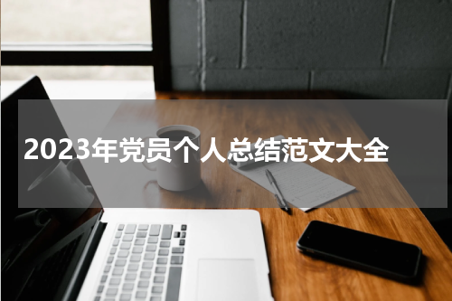 2023年党员个人总结范文大全
