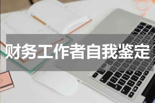 财务工作者自我鉴定