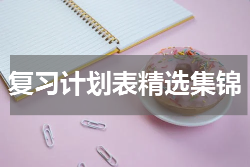 复习计划表精选集锦