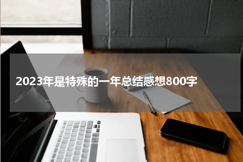 2023年是特殊的一年总结感想800字