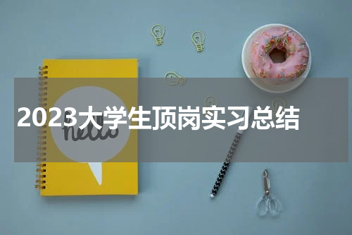 2023大学生顶岗实习总结