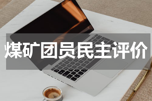 煤矿团员民主评价