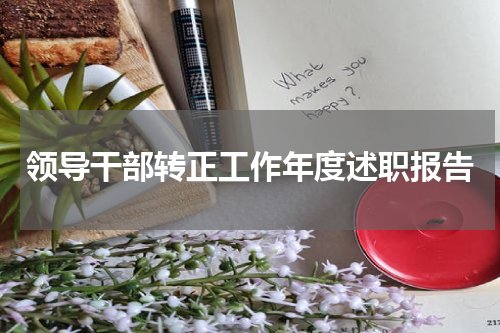 领导干部转正工作年度述职报告