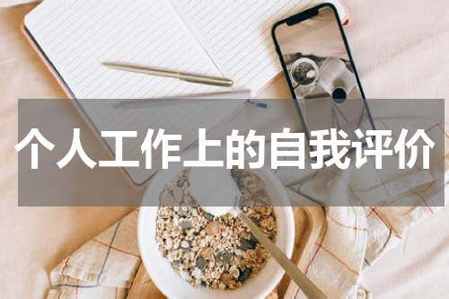 个人工作上的自我评价