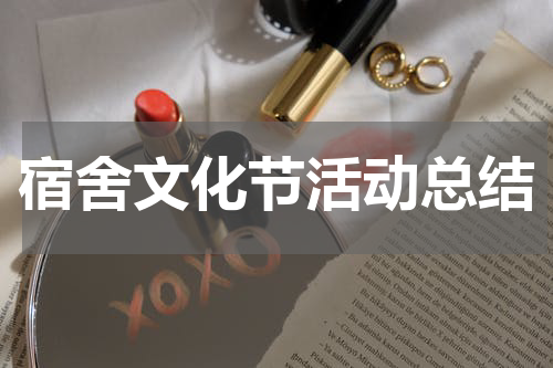 宿舍文化节活动总结
