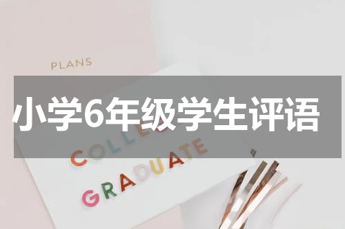 小学6年级学生评语