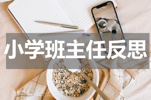 小学班主任反思