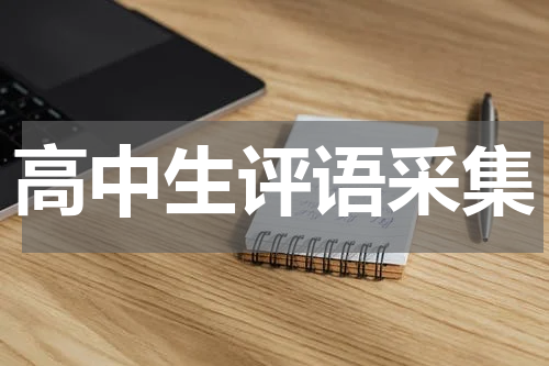 高中生评语采集