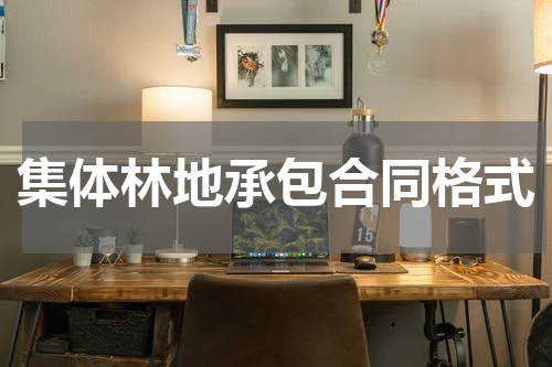 集体林地承包合同格式