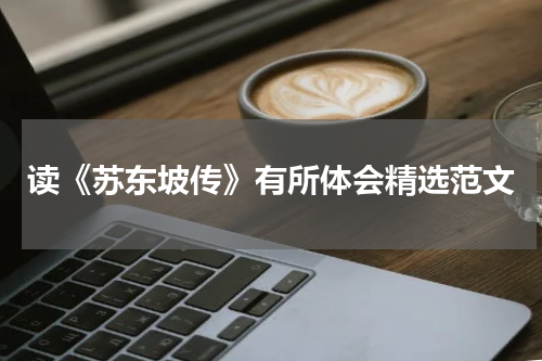 读《苏东坡传》有所体会精选范文