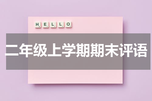 二年级上学期期末评语