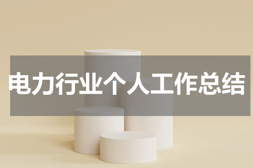电力行业个人工作总结