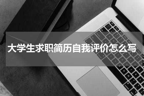 大学生求职简历自我评价怎么写