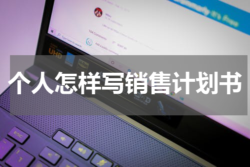 个人怎样写销售计划书