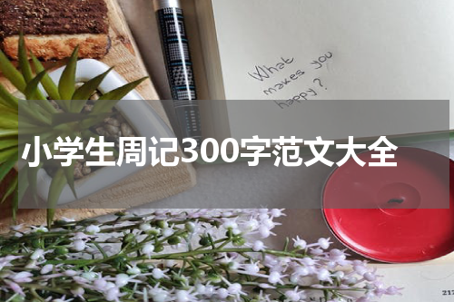 小学生周记300字范文大全
