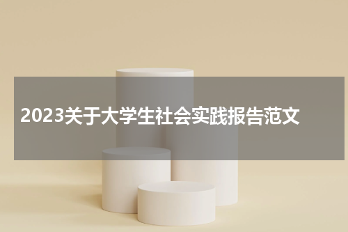 2023关于大学生社会实践报告范文