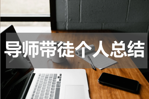 导师带徒个人总结