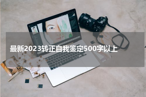 最新2023转正自我鉴定500字以上