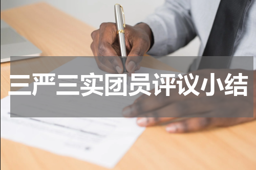 三严三实团员评议小结