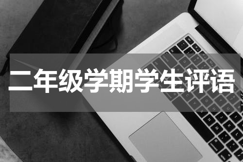 二年级学期学生评语
