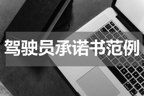 驾驶员承诺书范例