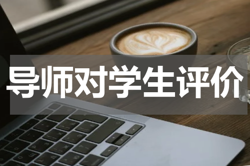 导师对学生评价