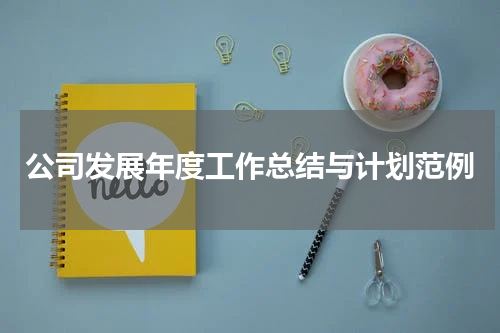 公司发展年度工作总结与计划范例