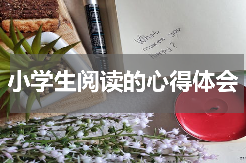 小学生阅读的心得体会