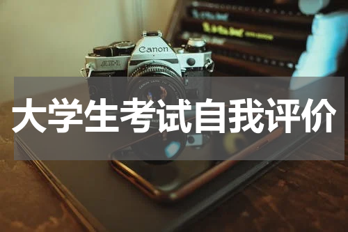 大学生考试自我评价