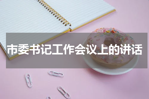 市委书记工作会议上的讲话