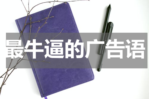 最牛逼的广告语