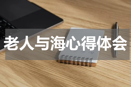 老人与海心得体会