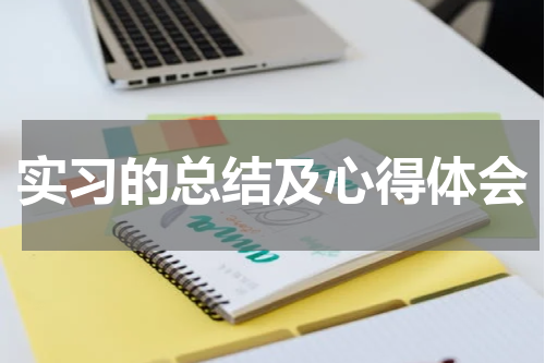 实习的总结及心得体会