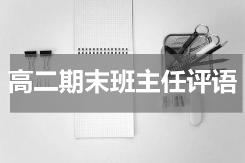 高二期末班主任评语