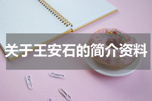 关于王安石的简介资料